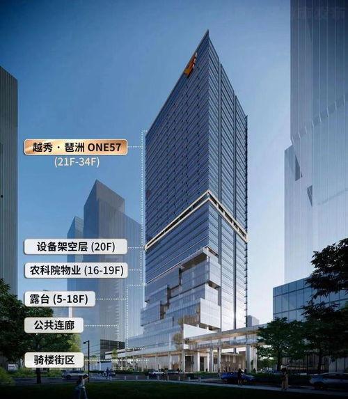 琶洲新房爆料信息最新,揭秘最新爆款楼盘，投资与自住两相宜！